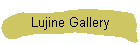 Lujine Gallery